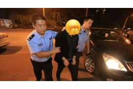 庆阳贷款清欠服务